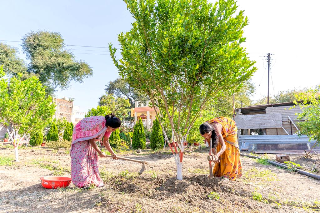 Modern efficient irrigation system in agricultural field